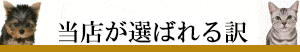 当店が選ばれるペットシッターおすすめポイントロゴ